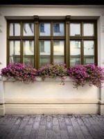 Fot. Marta Piotrowska