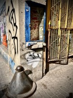 Fot. Marta Piotrowska