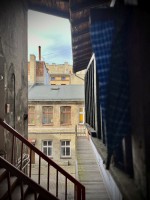 Fot. Marta Piotrowska