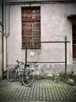 Fot. Marta Piotrowska