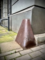 Fot. Marta Piotrowska