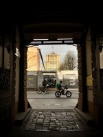 Fot. Marta Piotrowska