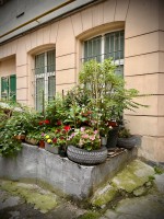 fot. Marta Piotrowska