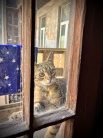 fot. Marta Piotrowska