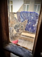 fot. Marta Piotrowska