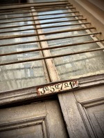 fot. Marta Piotrowska