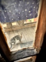 fot. Marta Piotrowska