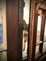 fot. Marta Piotrowska