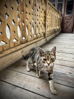 fot. Marta Piotrowska