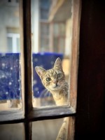 fot. Marta Piotrowska