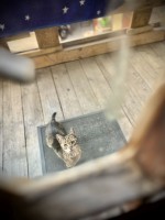 fot. Marta Piotrowska