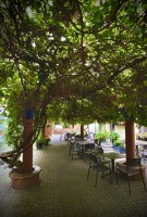 Fot. Marta Piotrowska