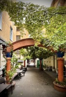 Fot. Marta Piotrowska