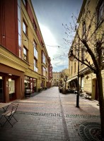 Fot. Marta Piotrowska