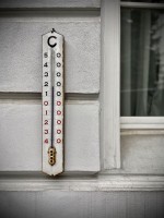 Fot. Marta Piotrowska