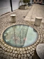 Fot. Marta Piotrowska