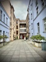 Fot. Marta Piotrowska