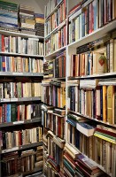 Fot. Marta Piotrowska