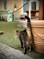 Fot. Marta Piotrowska