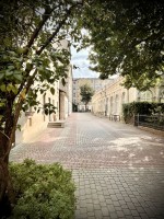 Fot. Marta Piotrowska