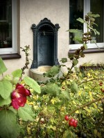 Fot. Marta Piotrowska