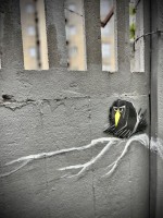 Fot. Marta Piotrowska