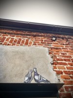 Fot. Marta Piotrowska