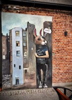 Fot. Marta Piotrowska