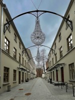 Fot. Marta Piotrowska