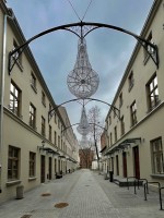 Fot. Marta Piotrowska