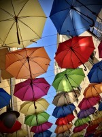 Fot. Marta Piotrowska