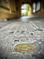 Fot. Marta Piotrowska