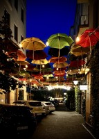 Fot. Marta Piotrowska