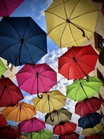 Fot. Marta Piotrowska