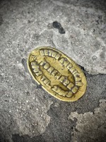 Fot. Marta Piotrowska