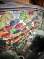 Fot. Marta Piotrowska