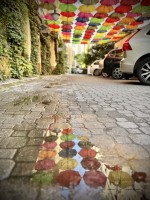 Fot. Marta Piotrowska