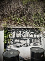 Fot. Marta Piotrowska