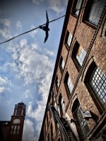 Fot. Marta Piotrowska