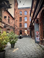 Fot. Marta Piotrowska