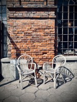 Fot. Marta Piotrowska