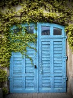 Fot. Marta Piotrowska