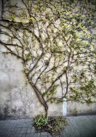 Fot. Marta Piotrowska