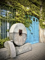 Fot. Marta Piotrowska