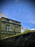 Fot. Marta Piotrowska