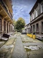 Fot. Marta Piotrowska