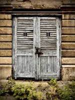 Fot. Marta Piotrowska