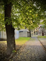 Fot. Marta Piotrowska