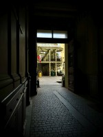 Fot. Marta Piotrowska