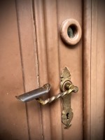 Fot. Marta Piotrowska